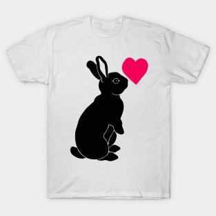 Poe Heart 25 T-Shirt